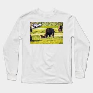 Bison at Yellowstone Long Sleeve T-Shirt